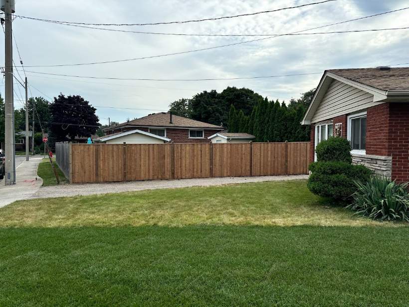 Finished backyard with new fence and fresh lawn
